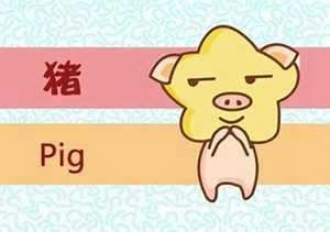 猪和牛相配婚姻如何(猪和牛相配的婚姻如何)