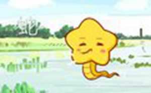 2019年属蛇的贵人(2019年属蛇的贵人是谁)