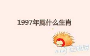 97年22属什么生肖(97年属什么生肖婚配)