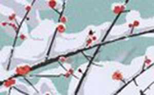 2020年冬至结婚好不好(2020年冬至结婚好不好呢)