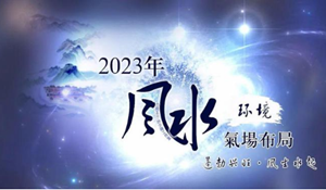 卧室床头放富贵竹有什么说法吗或禁忌吗(卧室床头放富贵竹好不好)