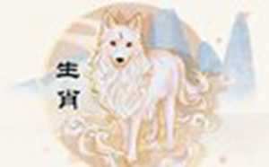 属狗人2022年运势详解(属狗人2022年运势详解全年运程完整版)