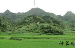 风水伸手案为什么主财(风水伸手案山)