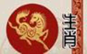 20221年属马(20221年属马人的全年运势)