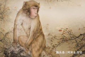 家有属猴人(家有属猴人1992属猴人命里带二婚)