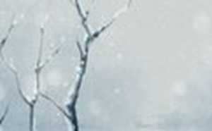 大雪节气日期固定吗(大雪节气的时间是固定的吗)
