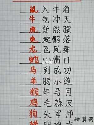 比字打一什么生肖(比字打一生肖是什么)