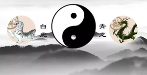 大门口摆放石雕麒麟有什么作用-神算网(大门口摆放石麒麟的讲究)
