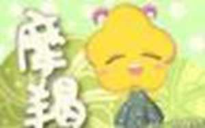 太阳摩羯12宫爱情