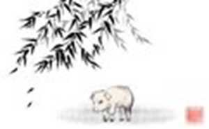 属猪与属什么婚配最好(属猪与属什么婚配最好结婚最合适)