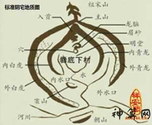 男性身体风水(男性身体风水图解)