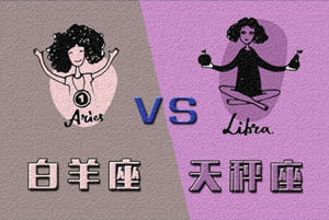 十二星座最佳cp配对完美婚姻配对-神算网(十二星座最完美的配对)