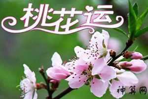 男孩怎样增加风水桃花运(男孩子怎样增加自己的桃花运)