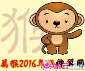 属猴人2019年感情运势(属猴人2019年感情运势如何)