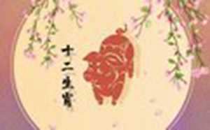 95年猪什么时候遇到正缘