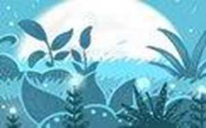 玄空风水软件(玄空风水软件免费下载)