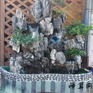 合肥那有卖风水假山(合肥那有卖风水假山的地方)