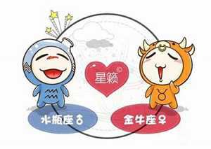 水瓶座和金牛座相配吗