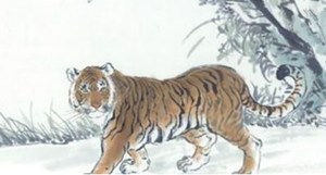 1998年属虎的办公室风水(1998年属虎适合什么楼层)