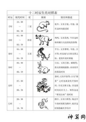 早上10点10属什么生肖(早上10点是属什么生肖)