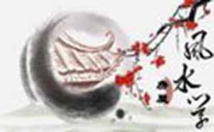家里养什么好吸风水旺财(家里养什么好吸风水旺财动物)