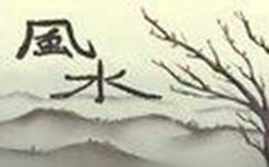 住宅大门口风水讲究(住宅大门口风水讲究隔马路有颗树)