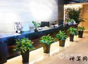 公司前台风水注意什么(公司前台风水注意什么事项)