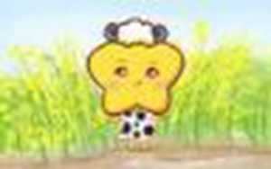读书最厉害的五大星座(12星座公主礼服连衣裙)