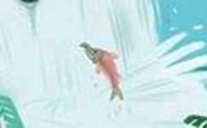 面相分析女人长胡须预示着什么