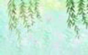 马太效应-神算网(马太效应什么意思)