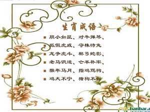 爱干净打一生肖(什么鼠最爱干净打一生肖)