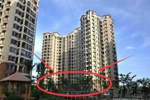 住宅后有断树风水(住宅后有断树风水好吗)