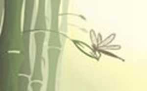 家里种什么盆栽风水好又旺财(家里种什么盆栽风水好又旺财运)