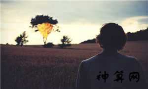 属兔的人是什么星座(属兔的人是什么星座)