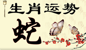 33岁是哪一年的(33岁是哪一年出生的属什么的)