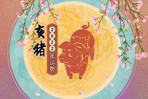 71属猪2022年事业运程(71年属猪51岁有牢狱之灾)