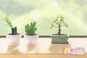 超好看的风水相术小说(超好看的风水相术小说女主)