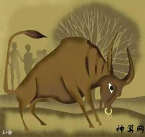 73年的牛在2016的运势(73年属牛2016年运势)