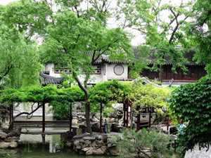 建筑风水绿植(建筑风水绿植有哪些)