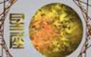 2022年12星座运势解析(2022年12星座运势解析完整版)
