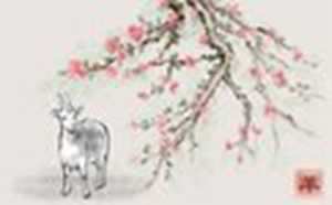 79年属羊2021年每月运势(79年属羊2021年每月运势女)