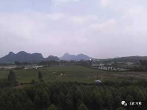 来宾五山风水龙脉(来宾五山风水龙脉图)
