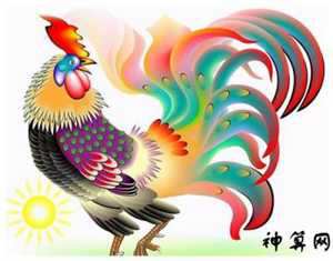 鸡的运势今日运势(鸡的运势今日运势如何)