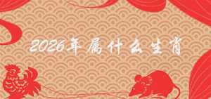 不为是空是什么生肖(不为空是什么意思)