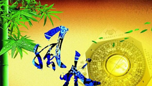 后院种什么树好(后院种什么树好)