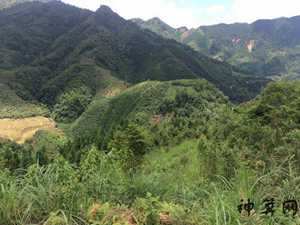 湖南伟人风水图(湖南伟人风水图片大全)