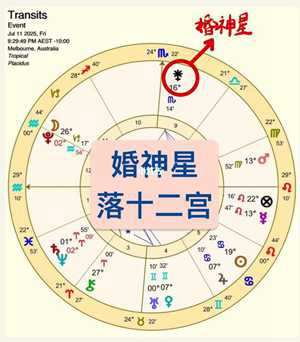 婚神星座在线查询(婚神星座在线查询器)