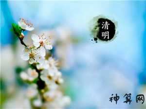 风水清明节适合出去旅游吗(风水清明节适合出去旅游吗为什么)