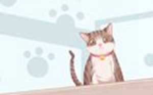 梦见小猫咪是什么意思(周公解梦梦见小猫咪是什么意思)
