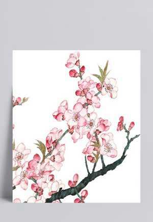 住宅风水桃花(住宅风水桃花位)